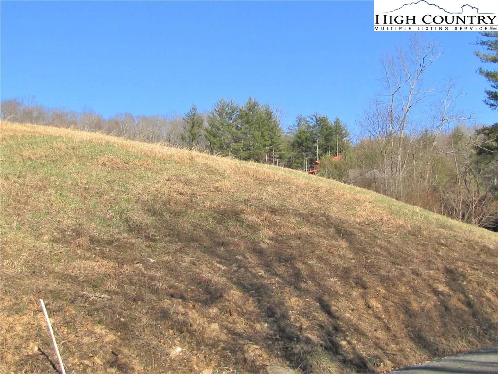 Image number 9 for the current listing