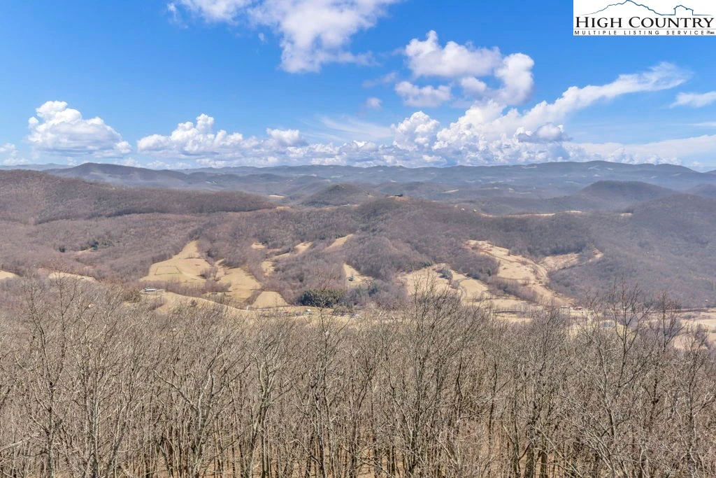Image number 1 for the current listing
