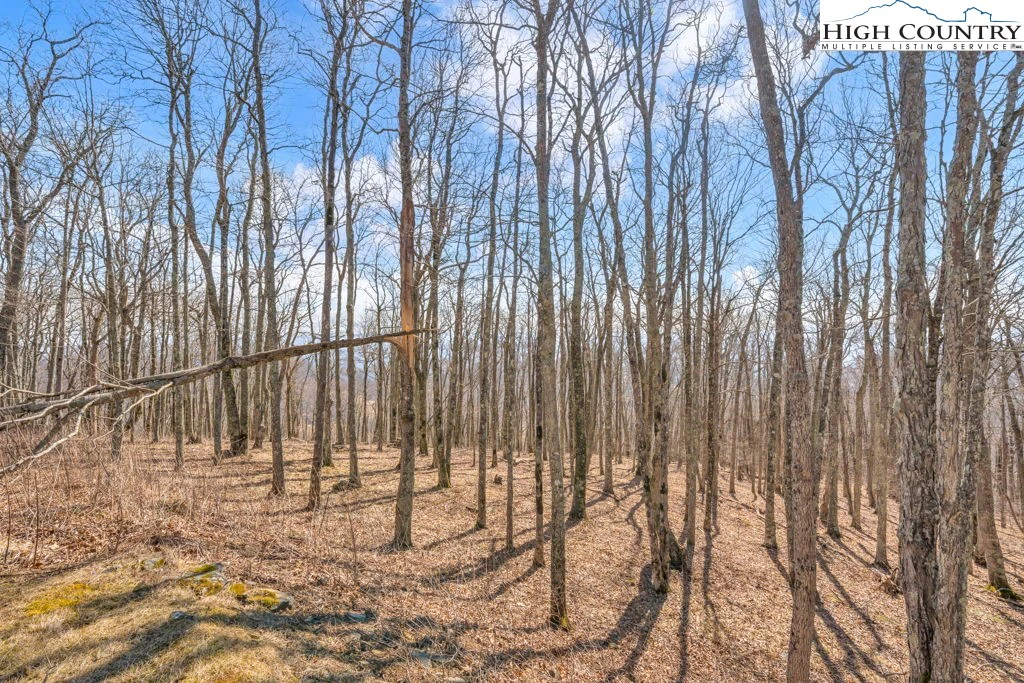 Image number 14 for the current listing