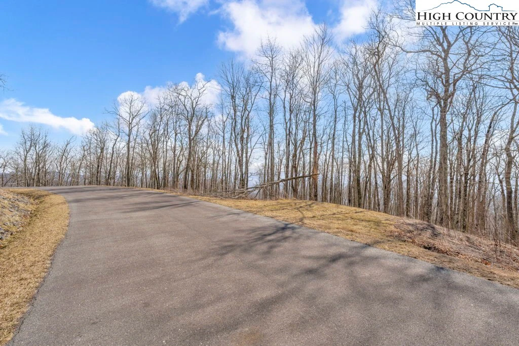Image number 12 for the current listing