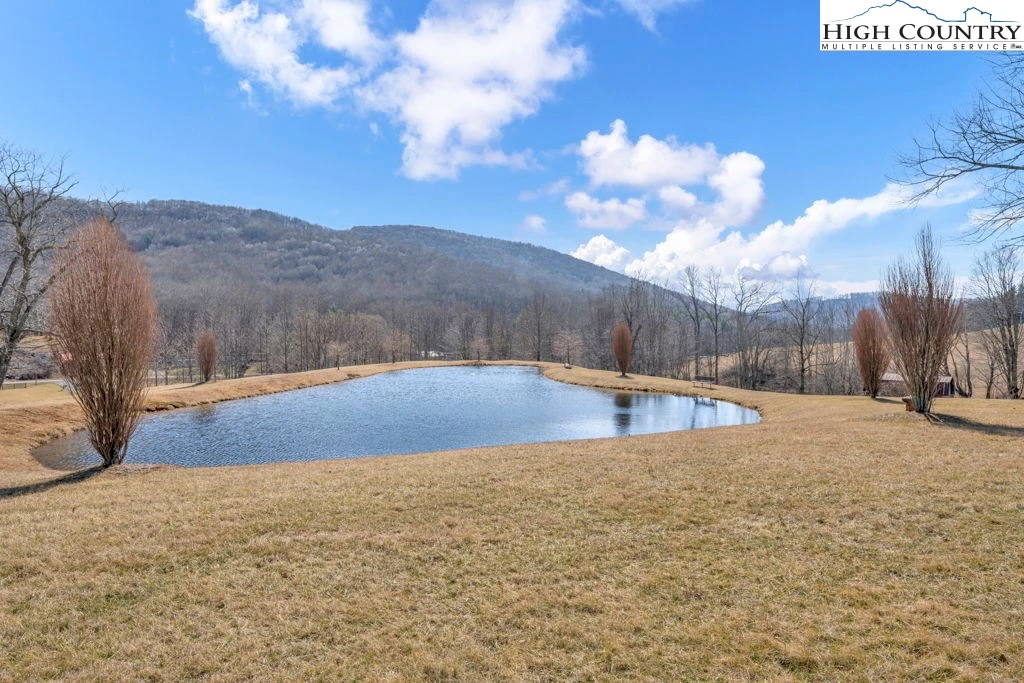 Image number 7 for the current listing