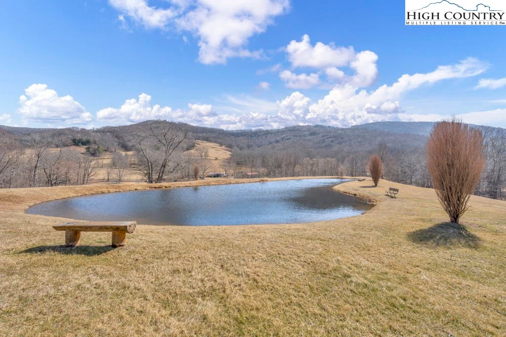 Image number 6 for the current listing