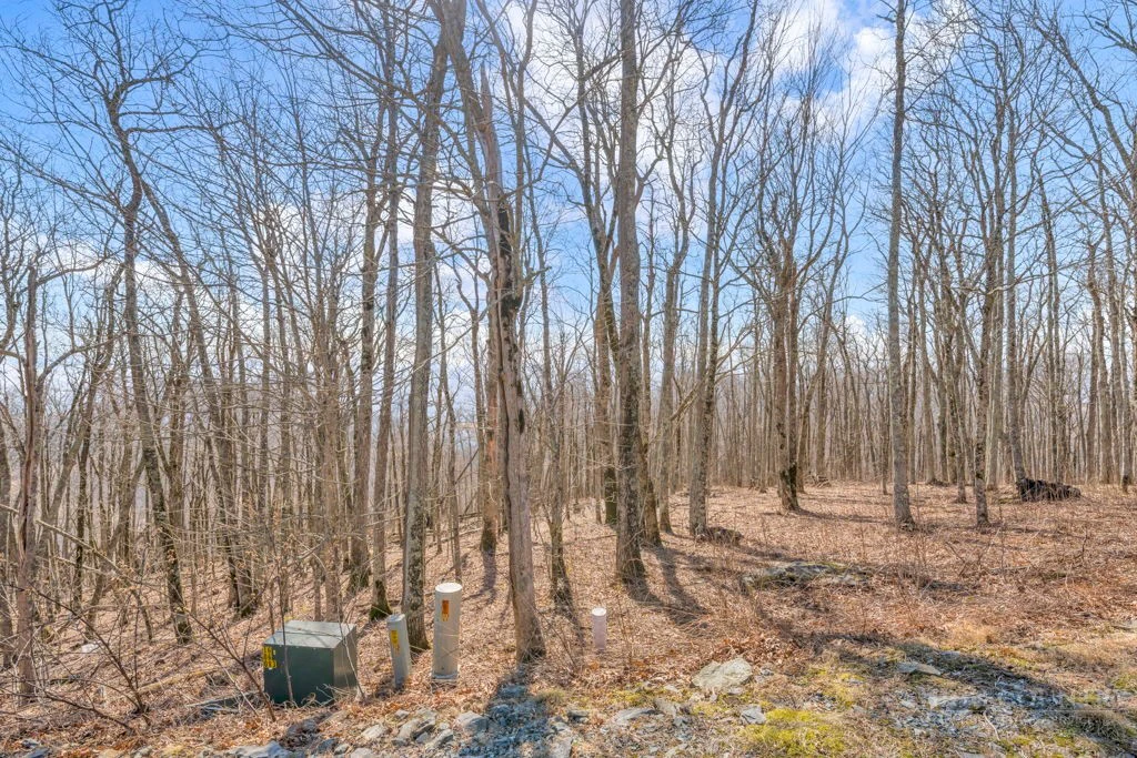 Image number 5 for the current listing