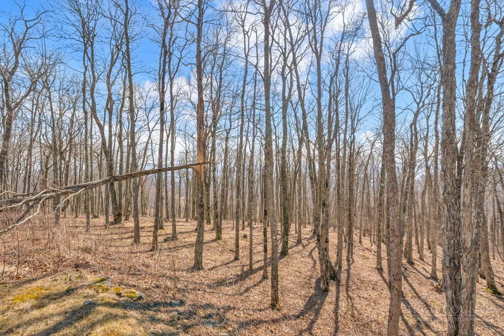 Image number 9 for the current listing