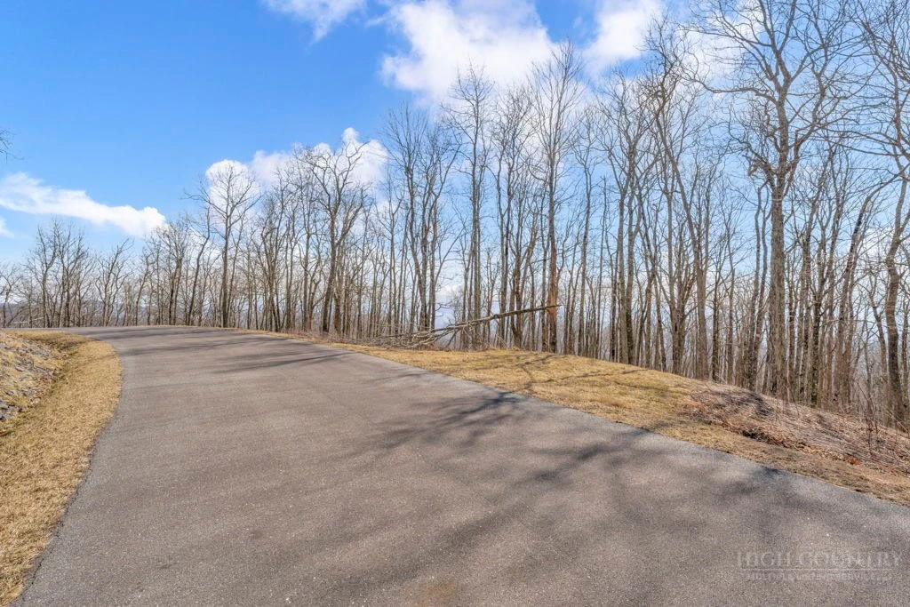 Image number 12 for the current listing
