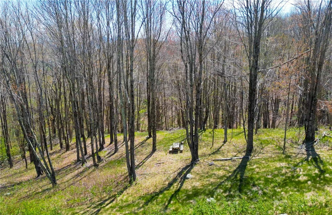 Image number 1 for the current listing