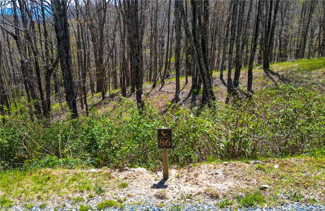 Image number 3 for the current listing