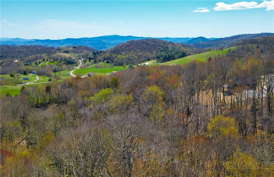 Image number 8 for the current listing