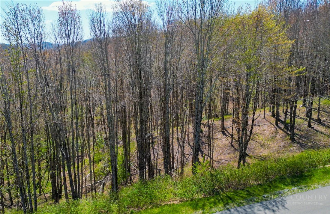 Image number 9 for the current listing