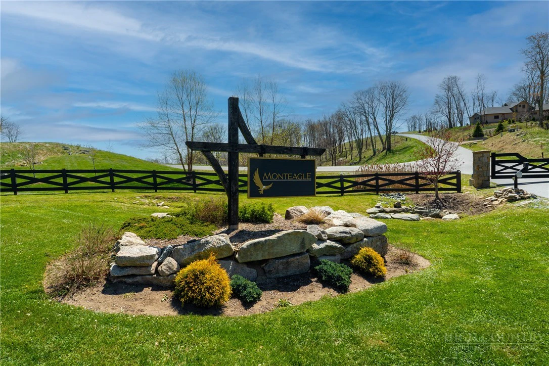 Image number 12 for the current listing