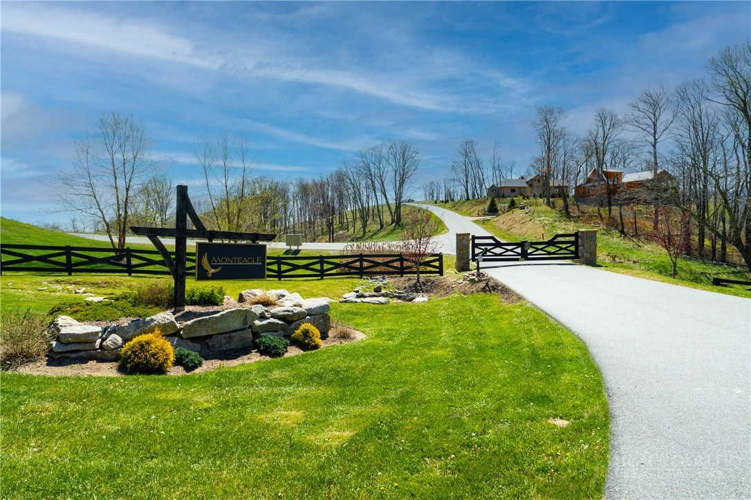 Image number 13 for the current listing