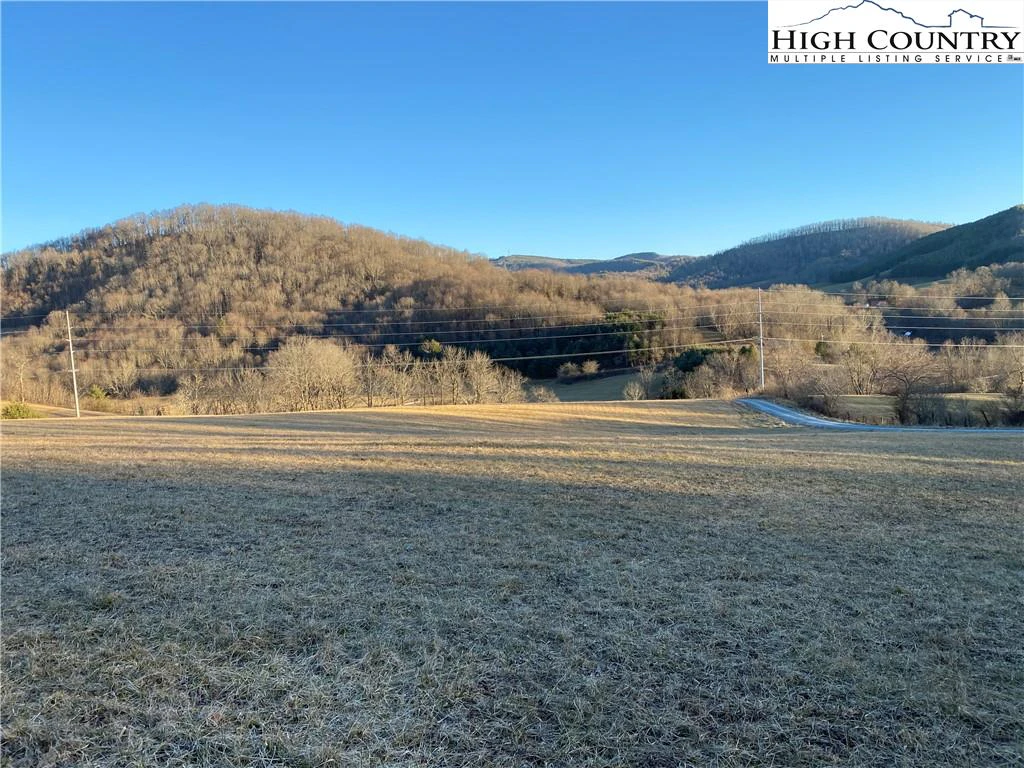 Image number 1 for the current listing