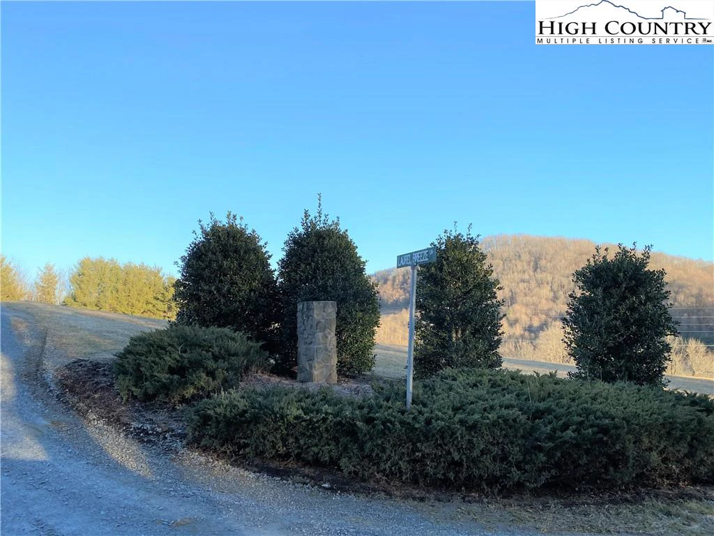 Image number 5 for the current listing