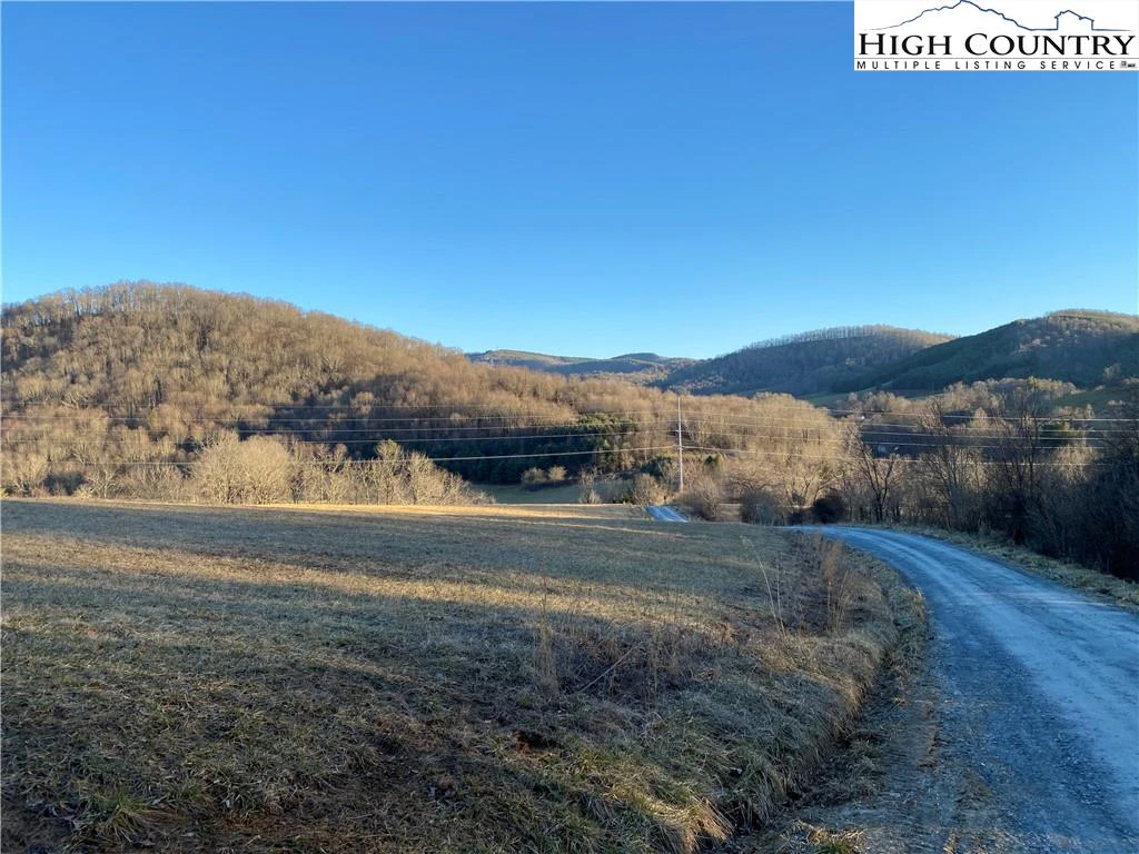 Image number 7 for the current listing