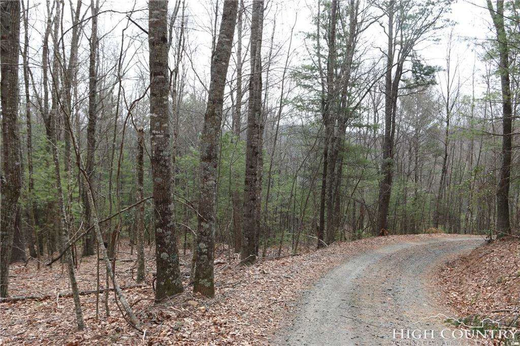Image number 4 for the current listing