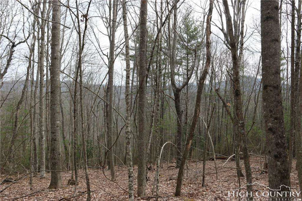 Image number 8 for the current listing