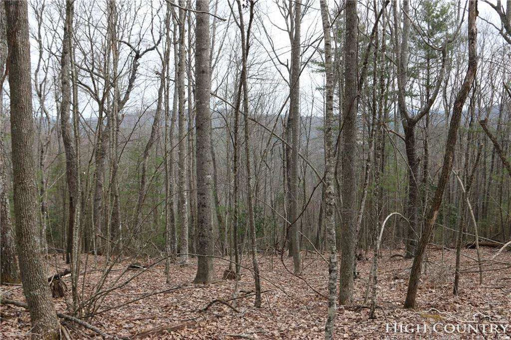 Image number 10 for the current listing
