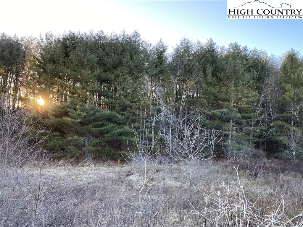 Image number 7 for the current listing