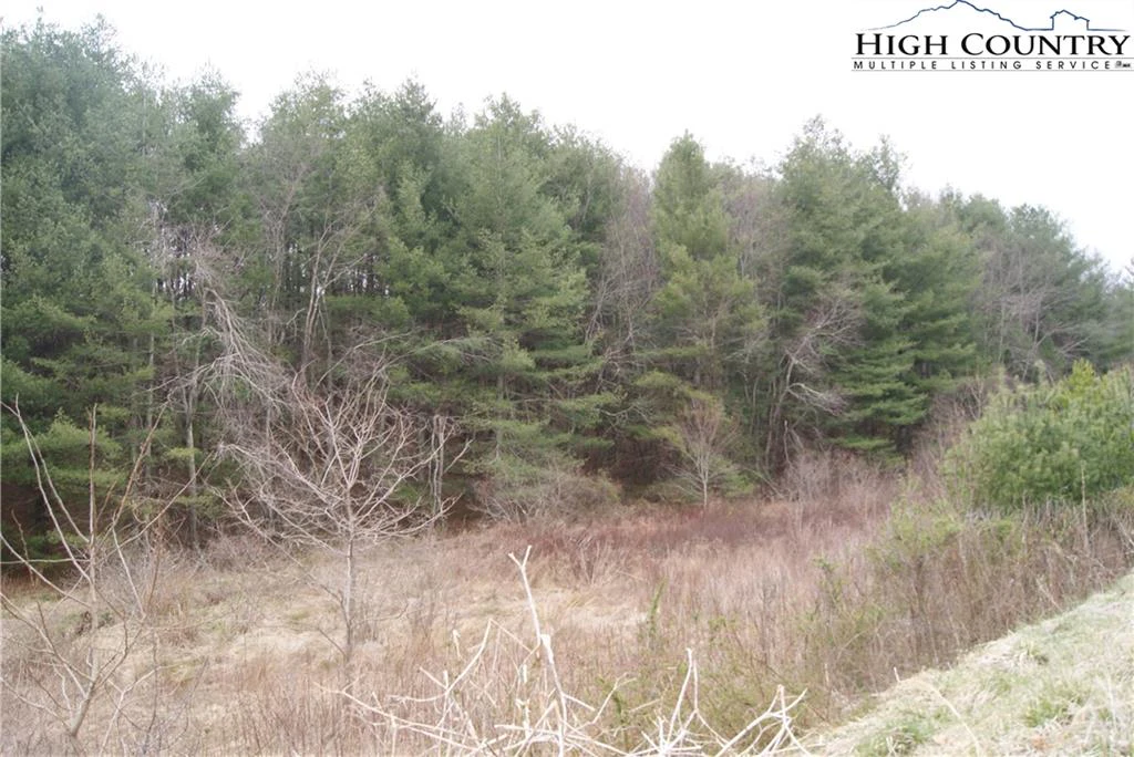Image number 8 for the current listing