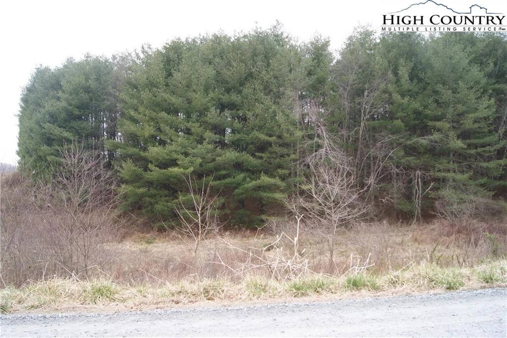 Image number 9 for the current listing