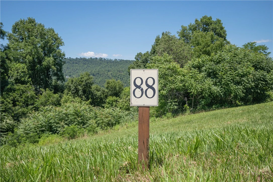 Image number 2 for the current listing