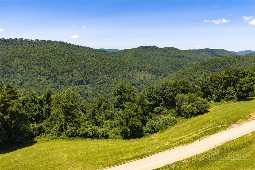 Image number 4 for the current listing