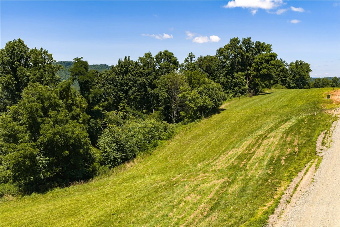 Image number 5 for the current listing