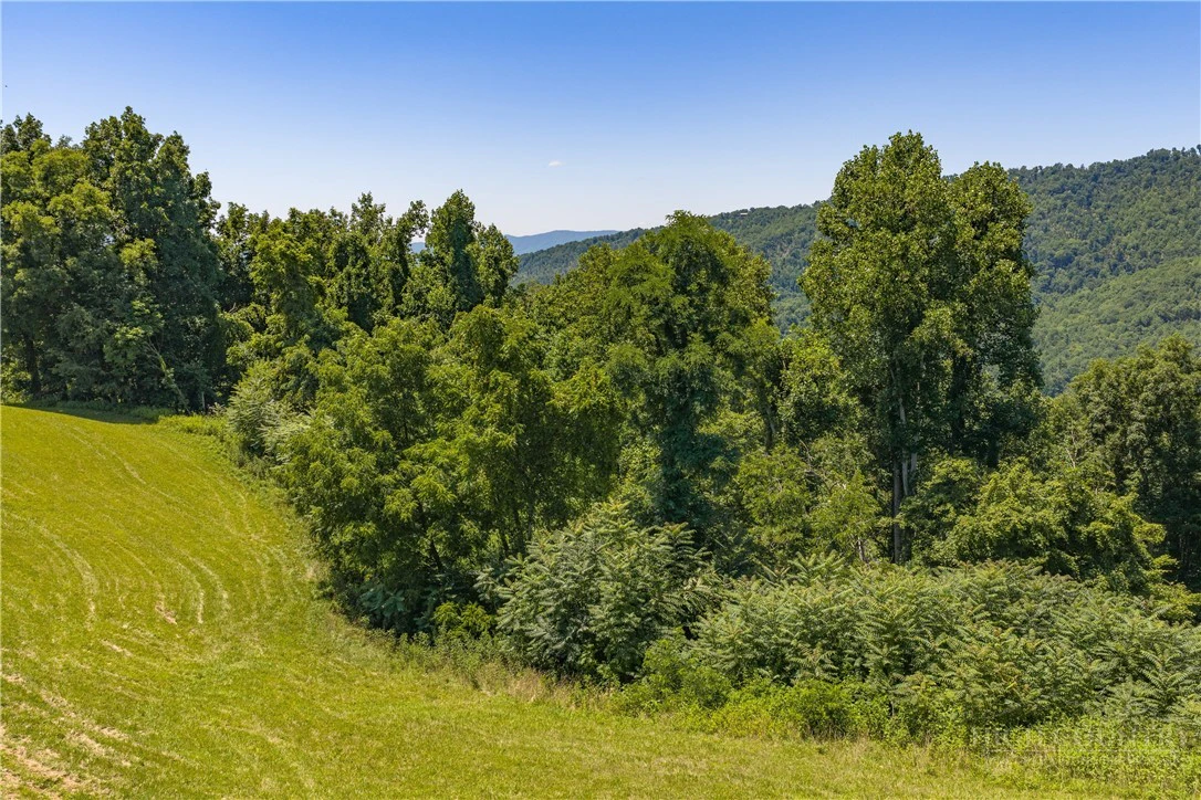 Image number 6 for the current listing
