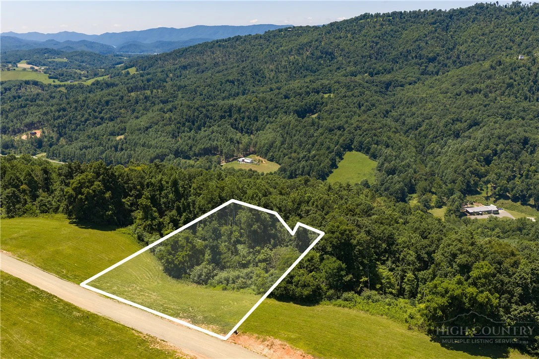 Image number 7 for the current listing