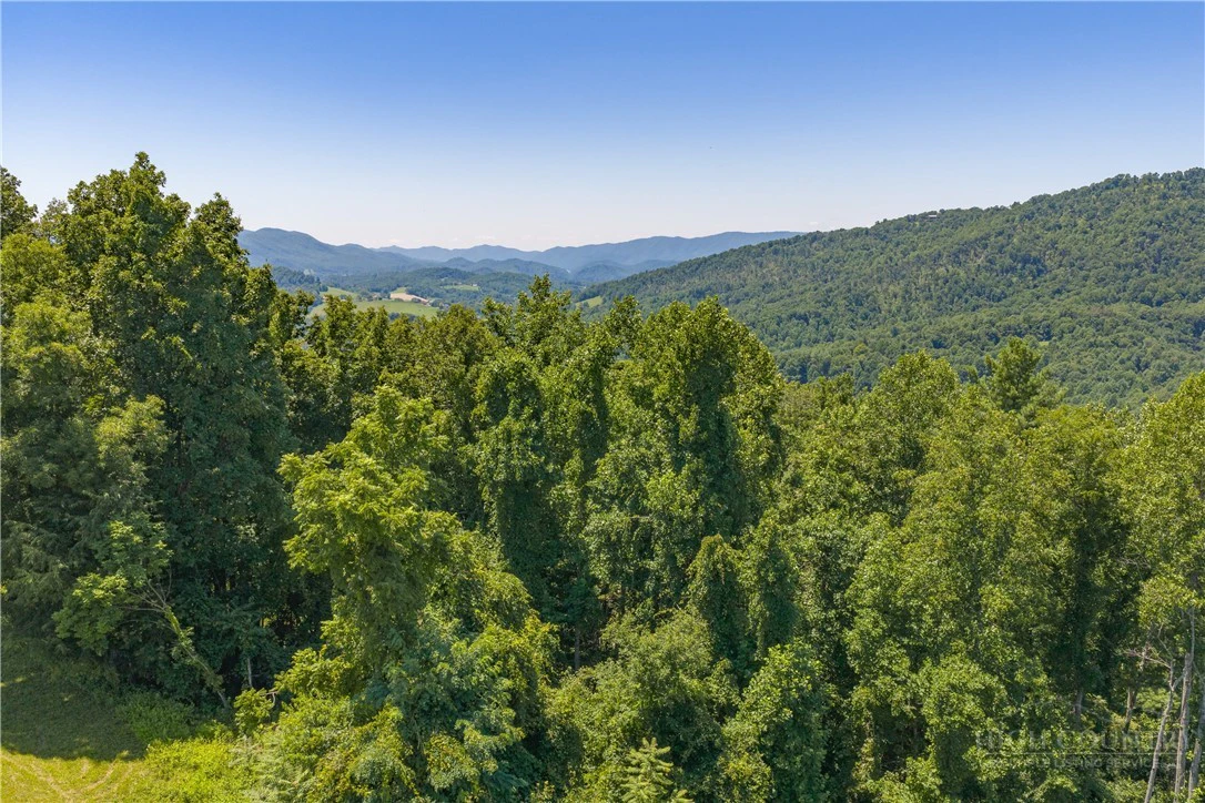 Image number 8 for the current listing