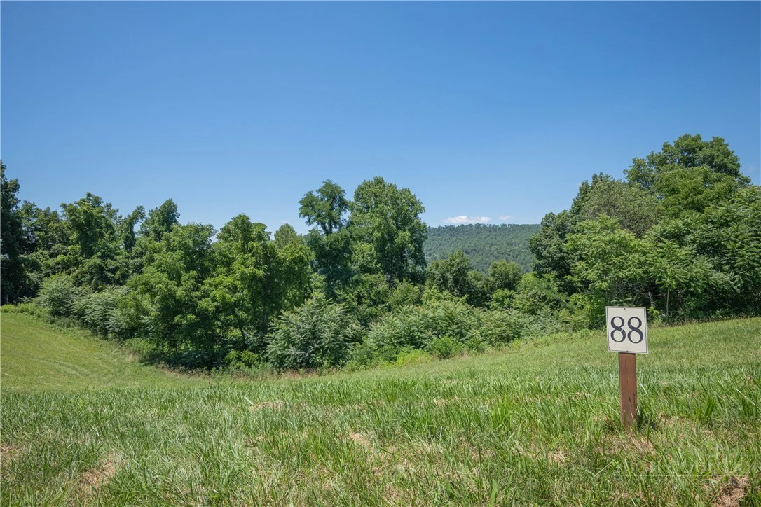 Image number 10 for the current listing