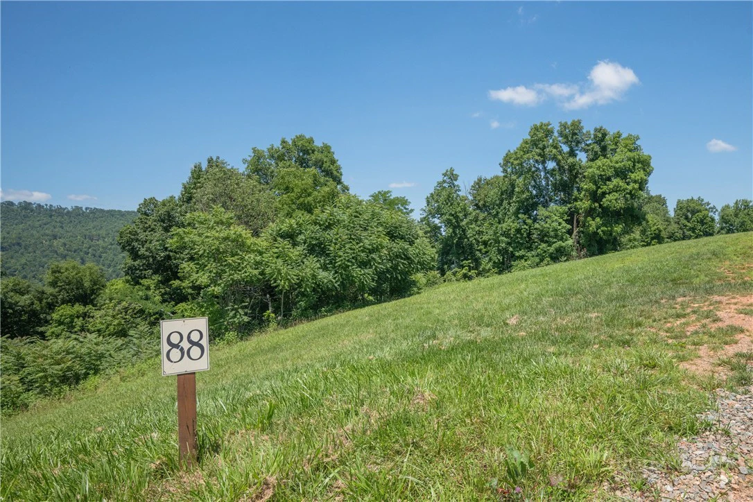Image number 12 for the current listing