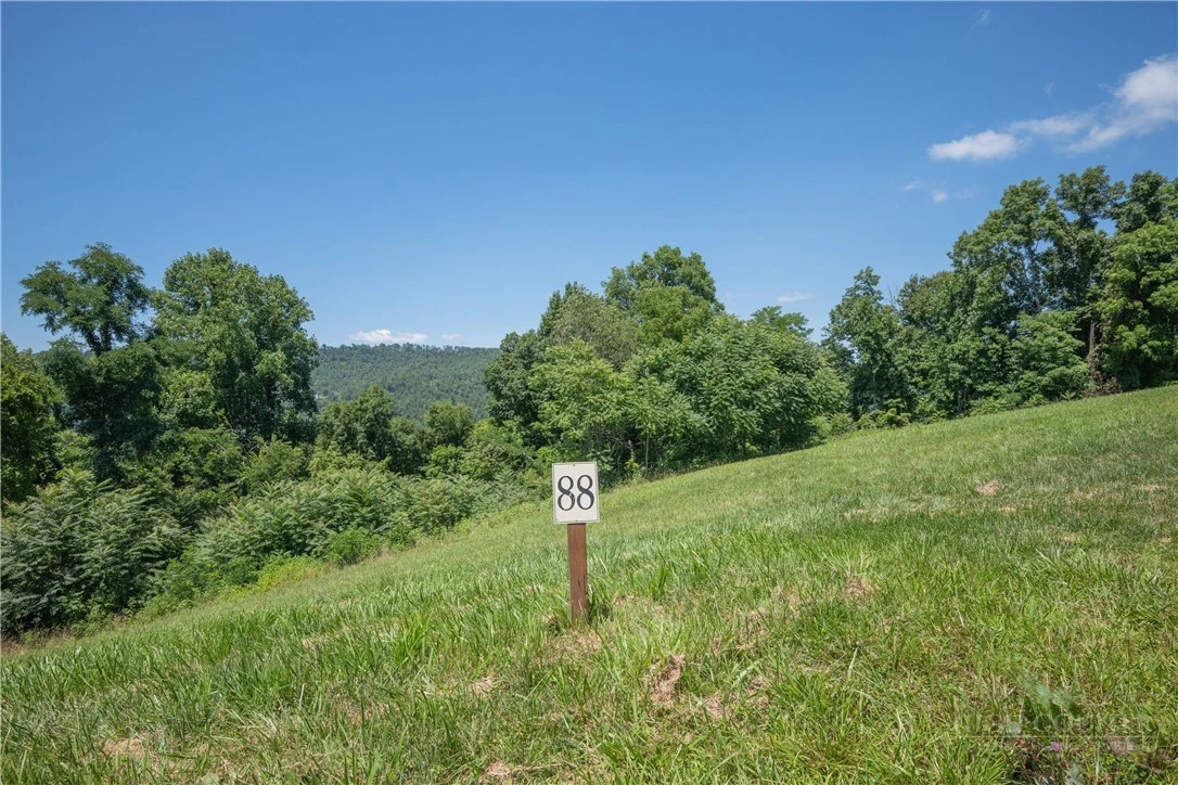 Image number 16 for the current listing