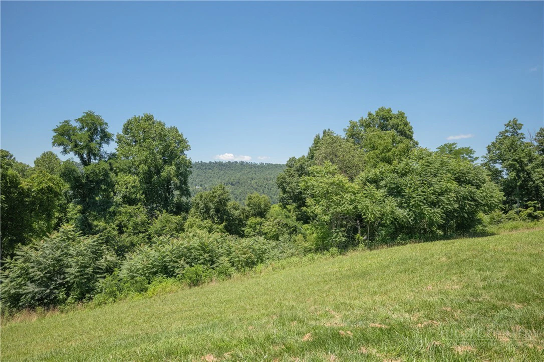 Image number 19 for the current listing