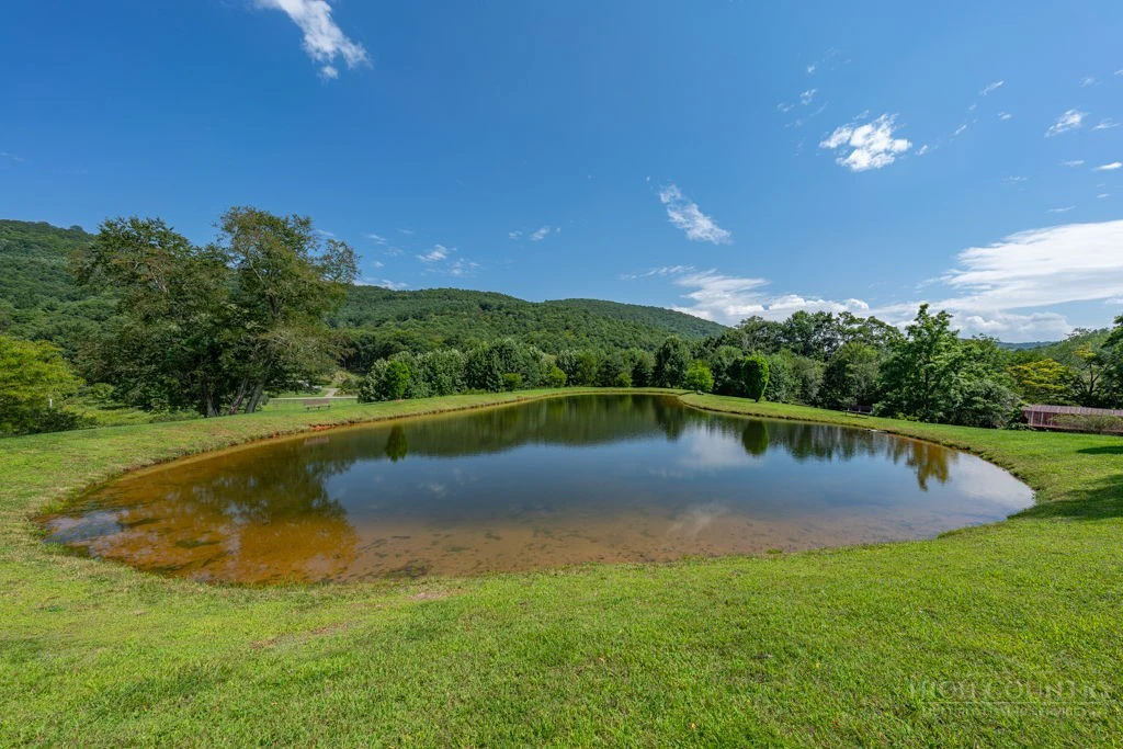 Image number 14 for the current listing