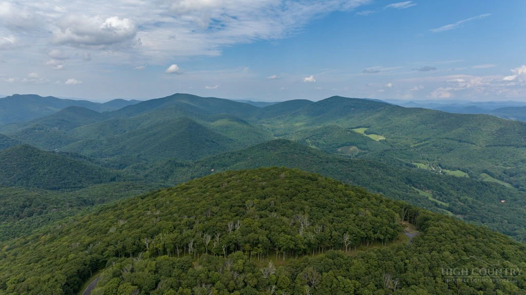 Image number 3 for the current listing