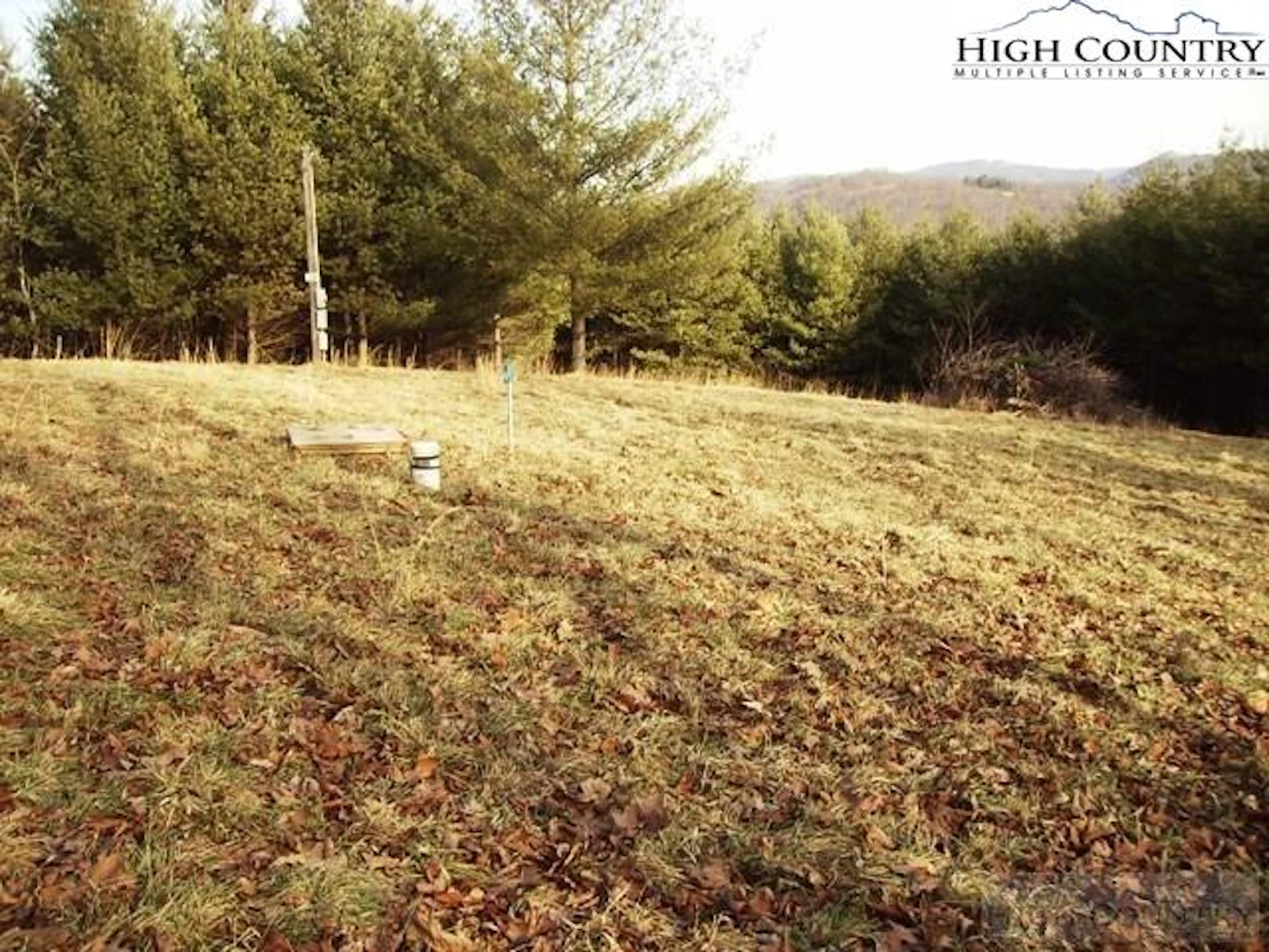 Image number 1 for the current listing