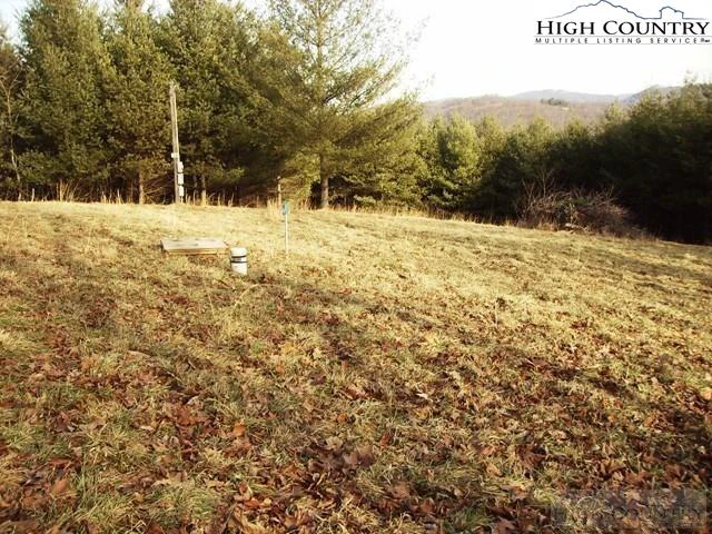 Image number 1 for the current listing
