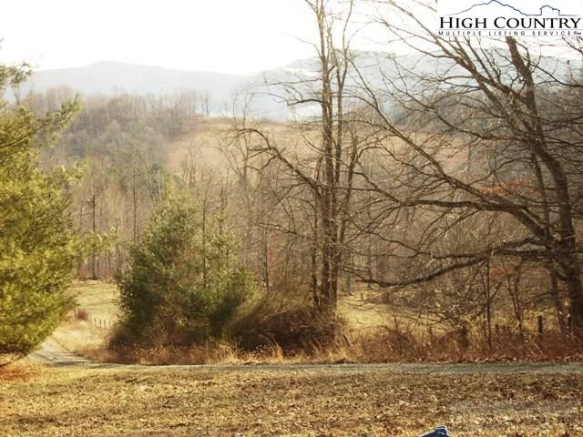 Image number 3 for the current listing