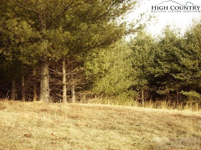 Image number 4 for the current listing