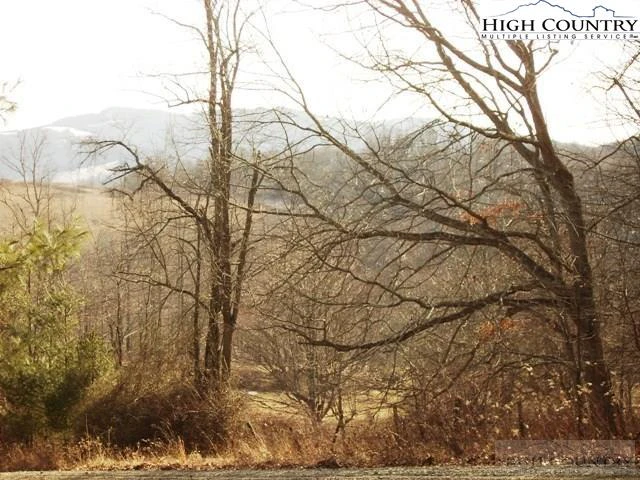 Image number 5 for the current listing
