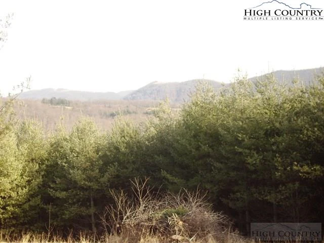 Image number 6 for the current listing