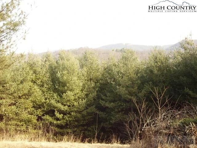 Image number 7 for the current listing