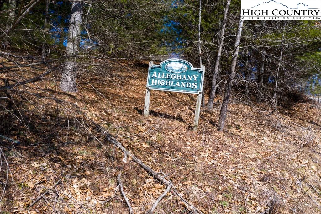 Image number 11 for the current listing