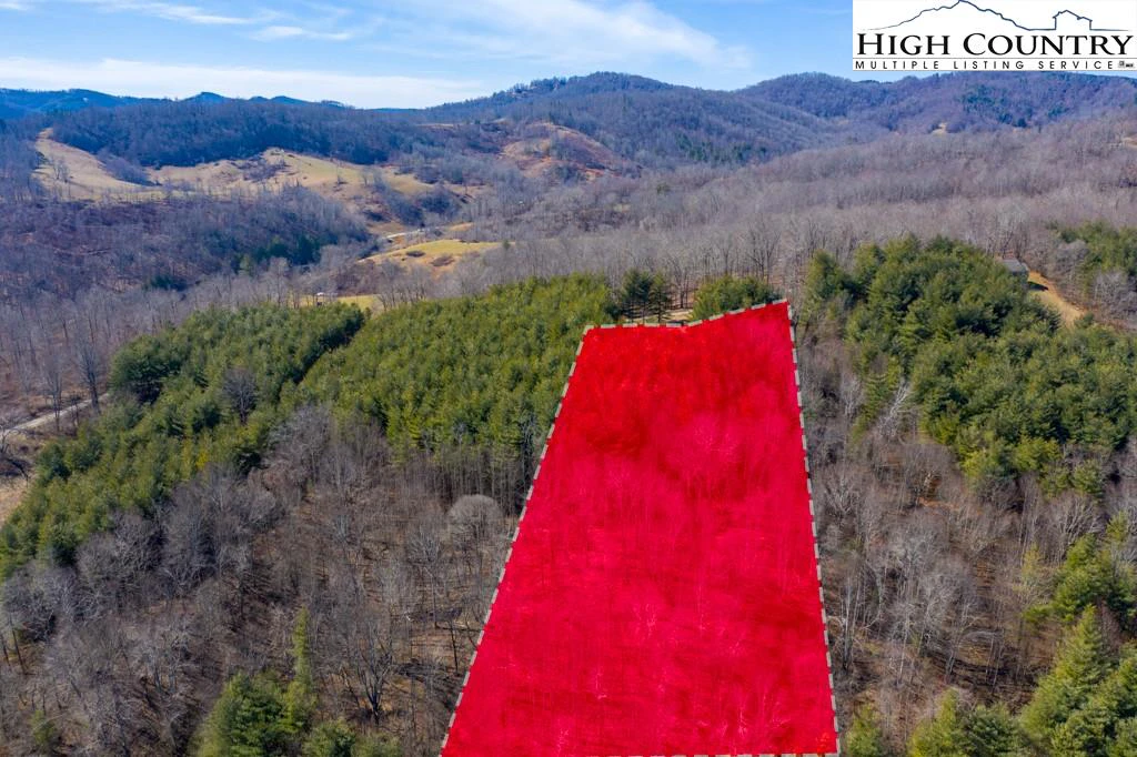 Image number 3 for the current listing