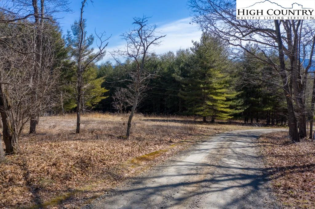 Image number 8 for the current listing
