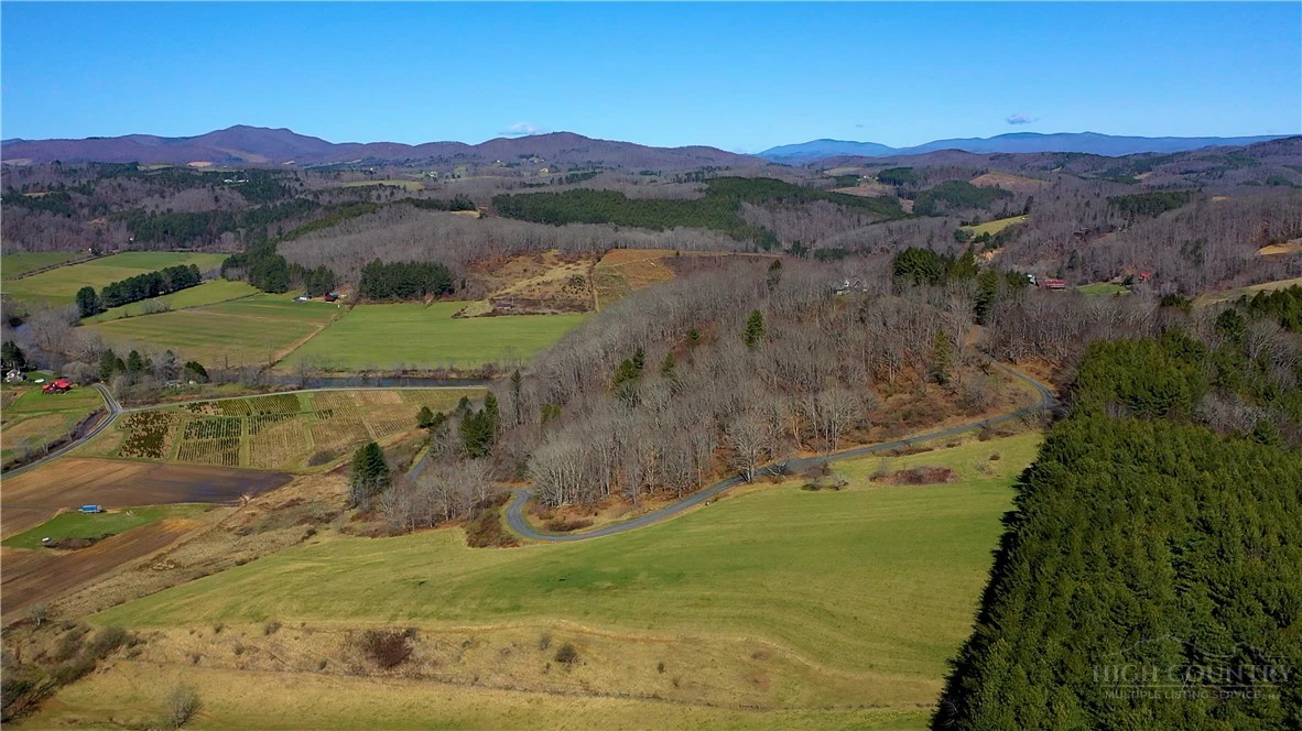 Image number 1 for the current listing