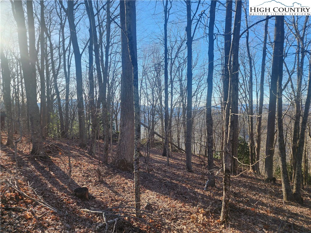 Image number 11 for the current listing