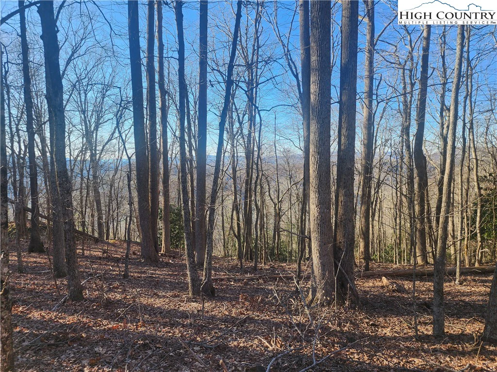 Image number 12 for the current listing
