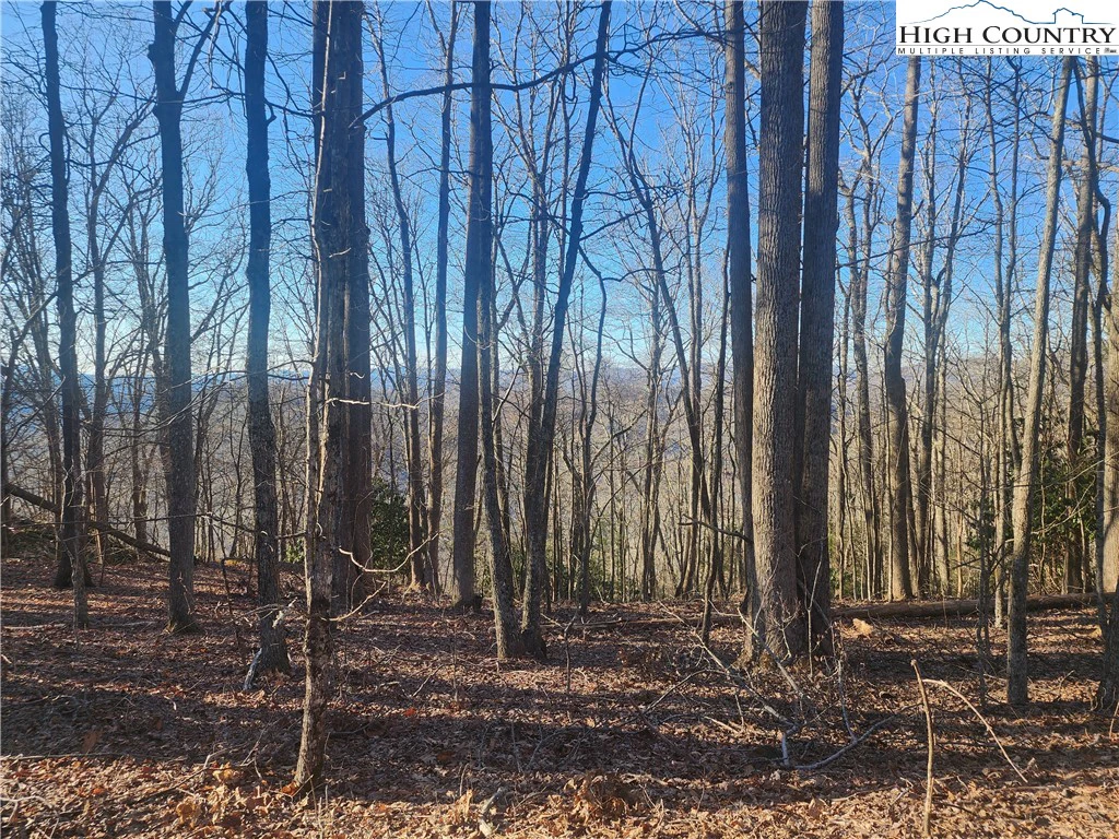 Image number 1 for the current listing